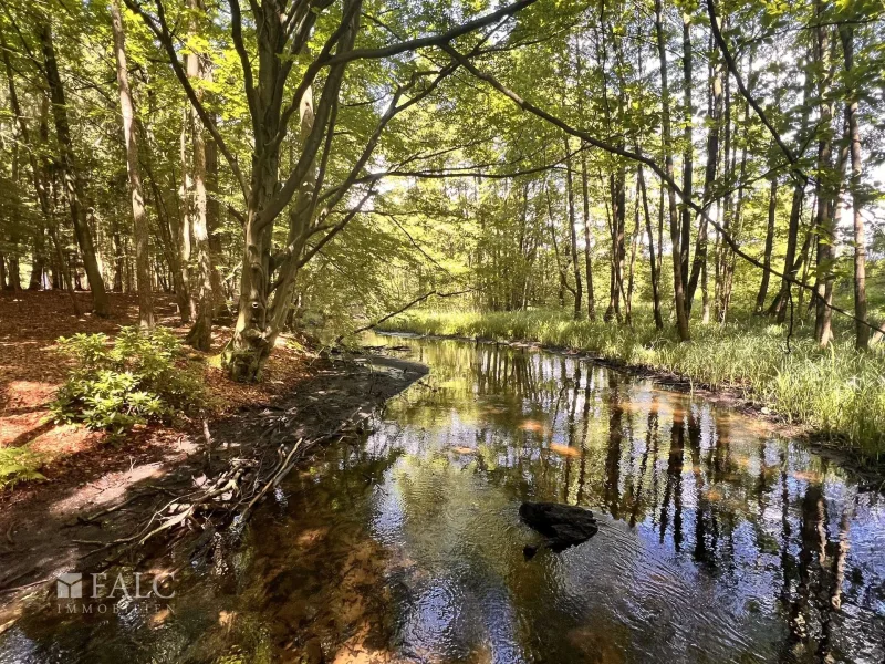 Flusslauf 