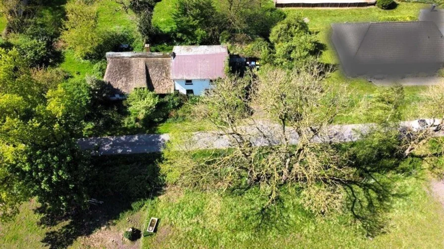 Aussenansicht 5  - Haus kaufen in Weddingstedt - Charmantes Reetdachhaus mit tollem Ausblick