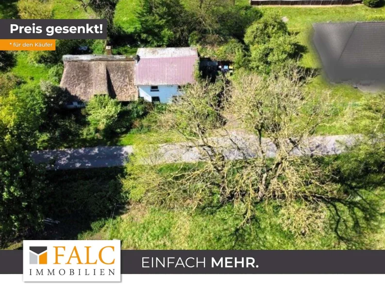 falc-overlay-image-[TIME] - Haus kaufen in Weddingstedt - Charmantes Reetdachhaus mit tollem Ausblick