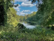 Auszeit am Waldsee