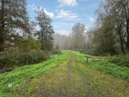 Waldrand direkt vor der Haustür