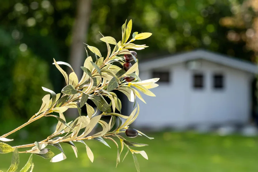 Gartenträume