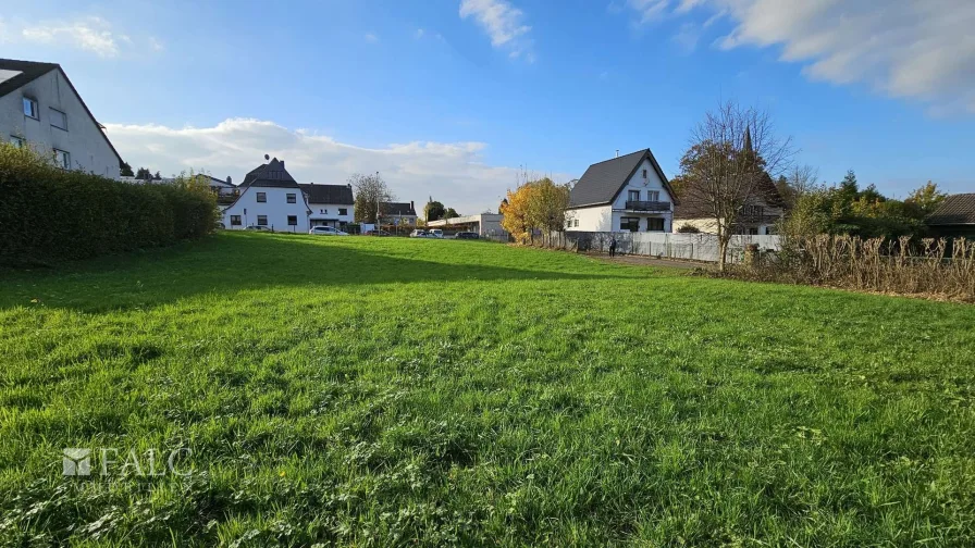 Blick zur Straße