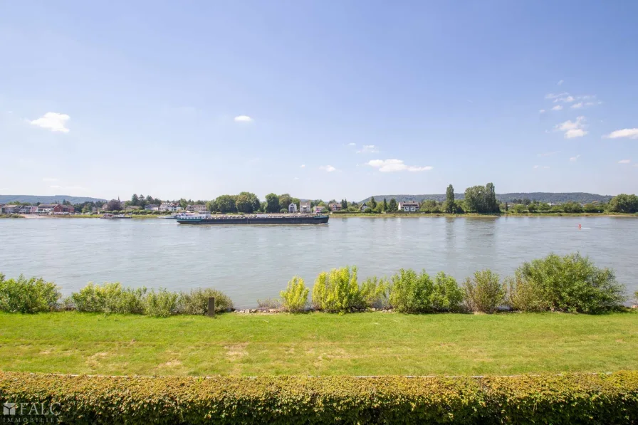 Rheinblick vom Balkon