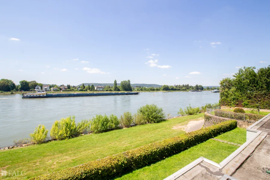 Rheinblick vom Balkon