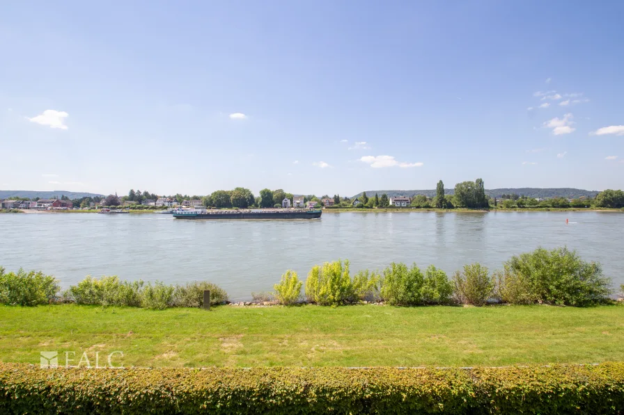 Rheinblick vom Balkon