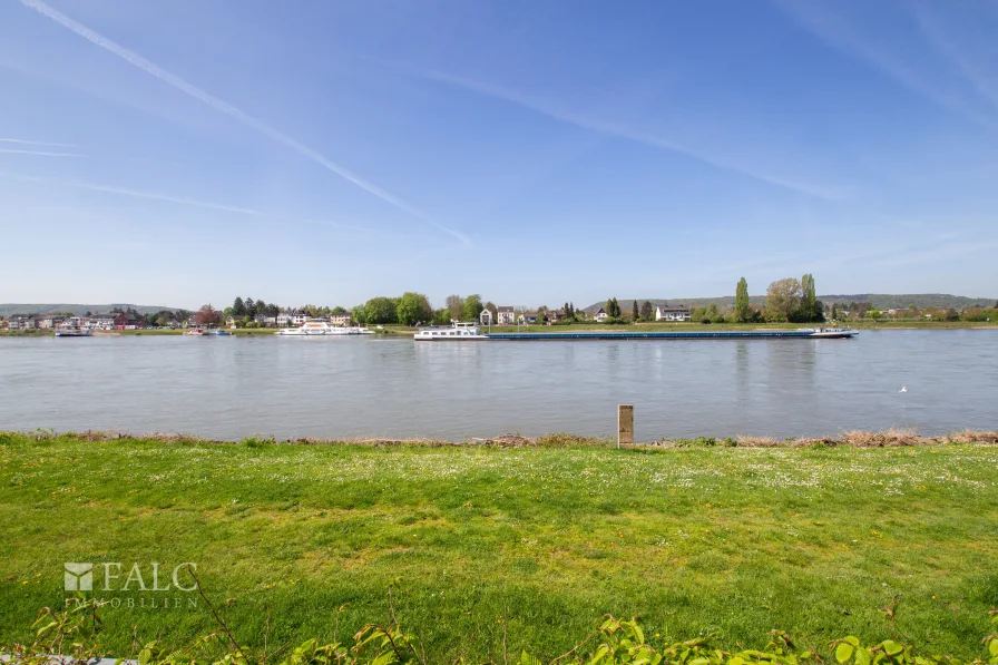 Rheinblick vom Grundstück