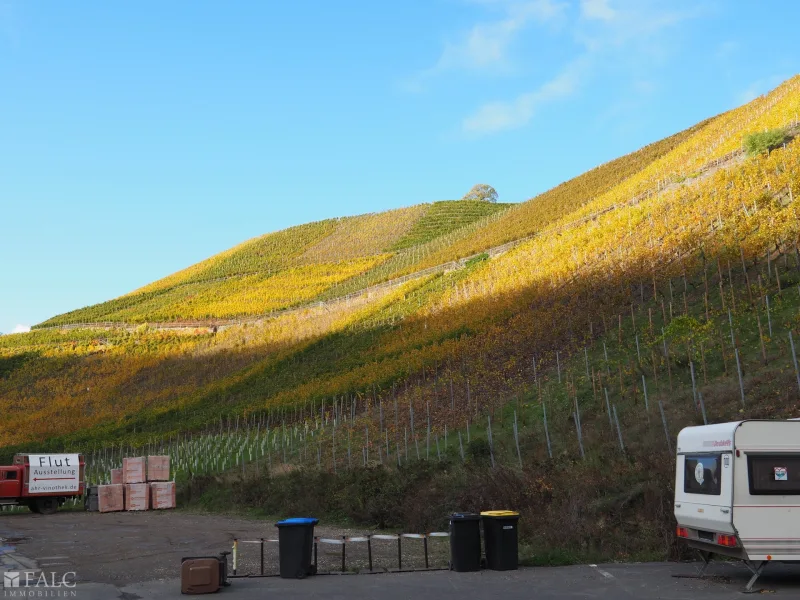 Weinberge