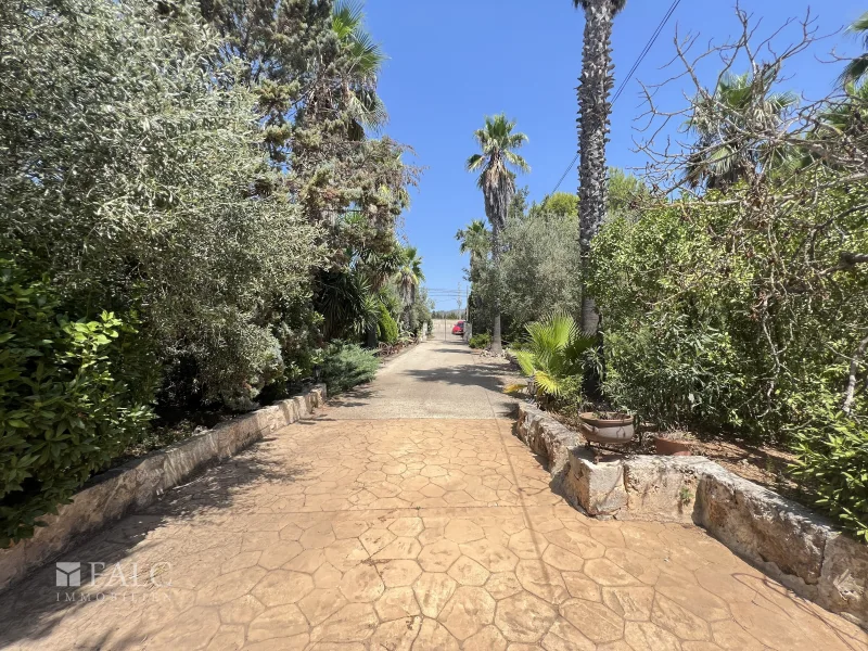 Einfahrt Grundstück/Entrada Finca/Entrance finca