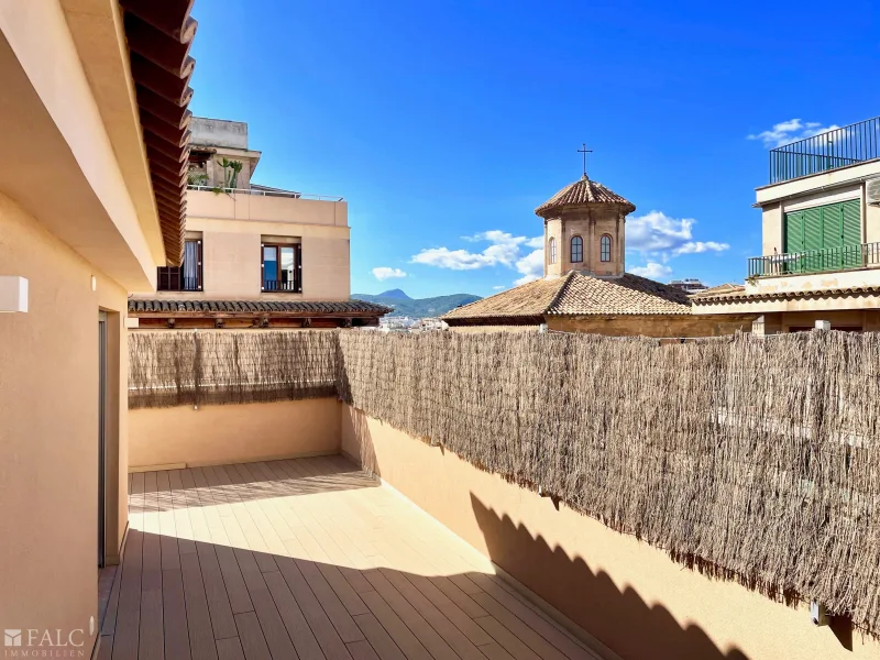 Dachterrasse/ roof terrace/ azotea