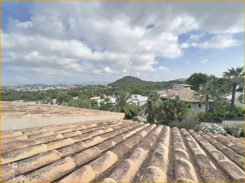 Blick hintere Dachterrasse