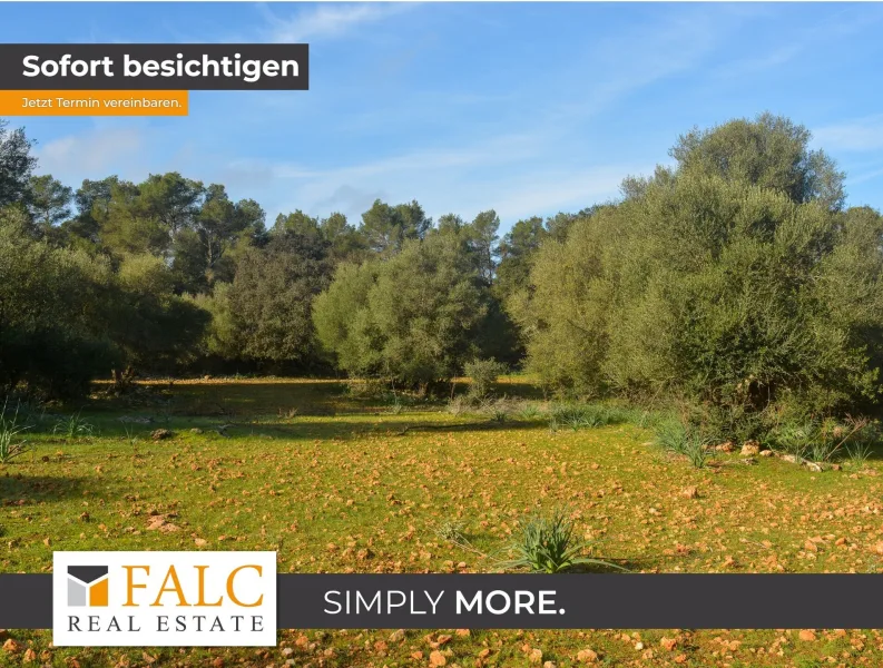 Fantastische Finca - Haus kaufen in Pina - Idylle pur! Herrschaftliche Finca mit altem Haus zum Ausbau