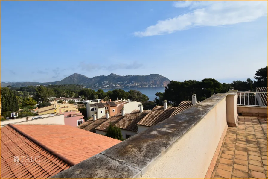 Blick von der Dachterrasse/vista desde la azotea/view from the roof terrace