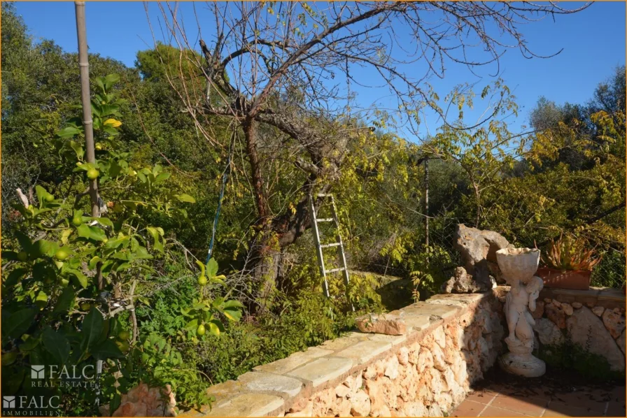 Terrasse/terraza/terrace...