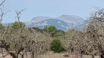 Blick auf Tramuntana