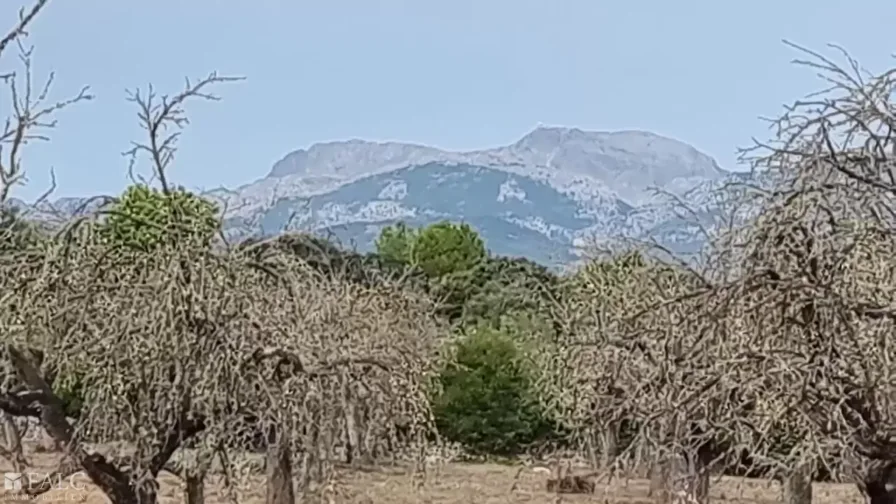 Blick auf Tramuntana