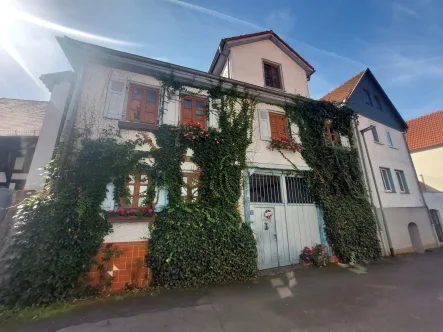 Außenansicht - Haus kaufen in Münzenberg - Ein Haus zum Wohlfühlen, Genießen und Leben in gesuchter Lage der Kernstadt von Münzenberg