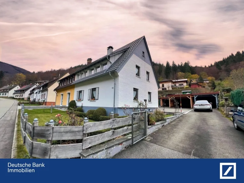 Außenansicht - Haus kaufen in Todtnau - idyllisch im Schwarzwald