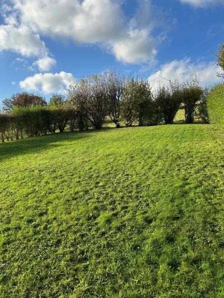 Gartenfläche hinter dem Haus