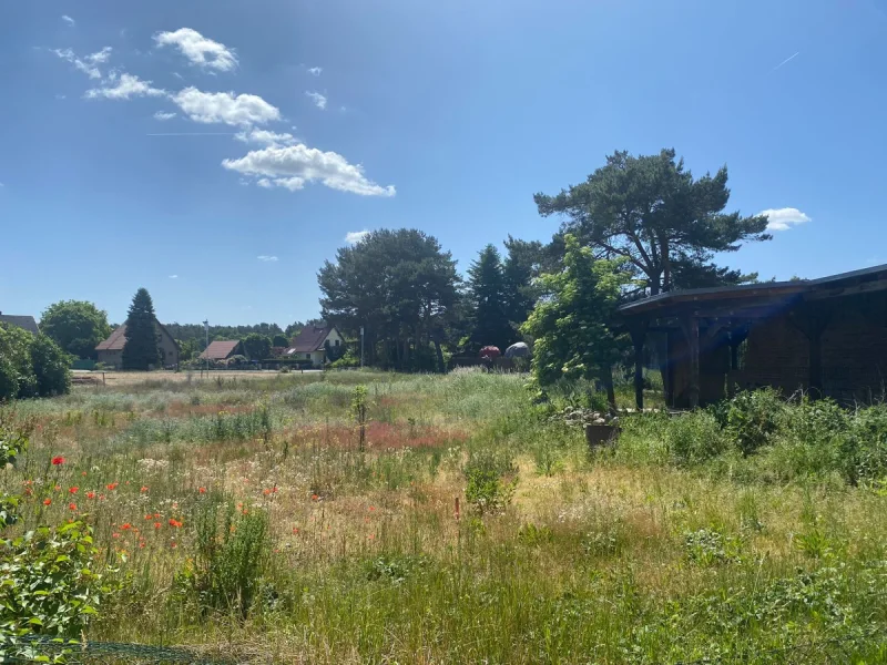 Blick nach Osten - Grundstück kaufen in Kloster Lehnin / Nahmitz - Mehrere herrliche Baugrundstücke suchen Eigentümer!