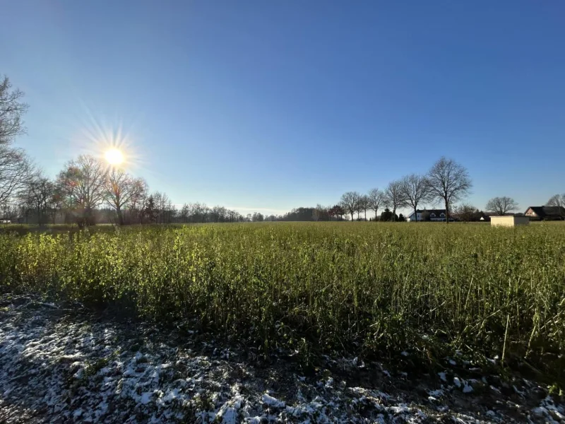 Teil des Ackerlands - Haus kaufen in Rietberg - Viel Platz für die Familie + über 11.000 m² Ackerland/Ländliches Wohnen in Rietberg-Westerwiehe