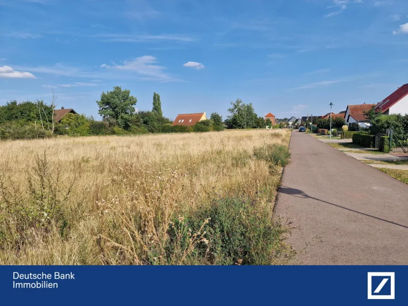 Straßenansicht - Grundstück kaufen in Osternienburger Land - ...  bauen und wohnen in ruhiger Lage