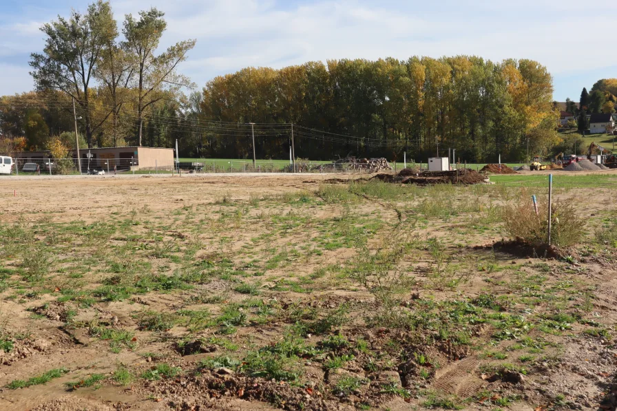 umliegende landwirtschaftliche Nutzung