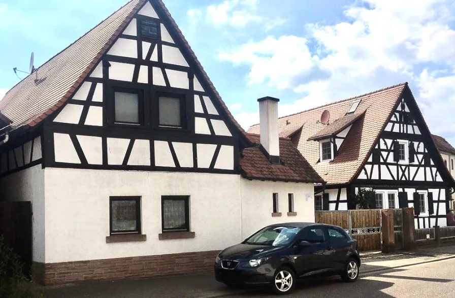 Startbild Sommer Haus 1und 2 - Haus kaufen in Gommersheim - Einziehen fertig - 2 neu sanierte  Einfamilienhäuser und Appartement in Gommersheim