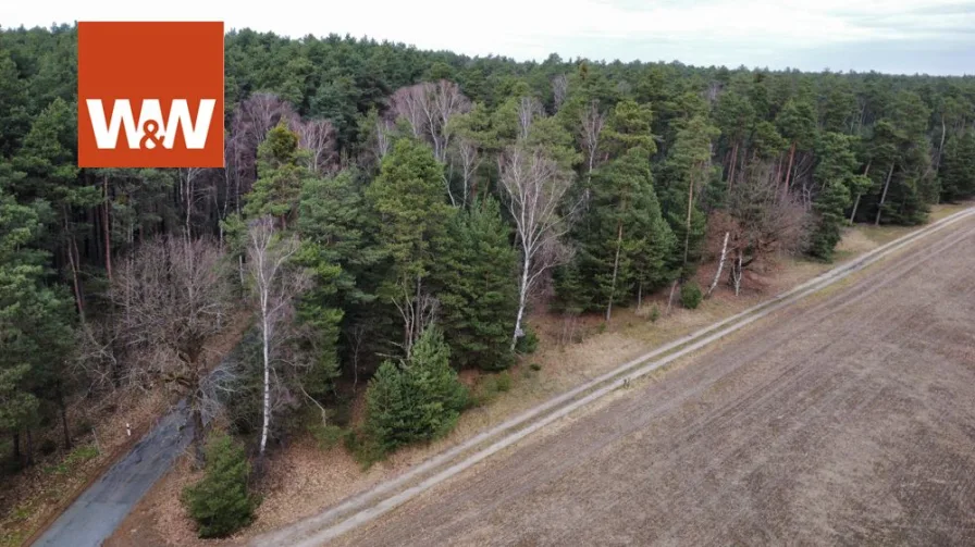 Blick von oben auf Flst 53 - Grundstück kaufen in Bronkow / Rutzkau - Großes Waldgrundstück zwischen Calau und Finsterwalde - Kiefern mit Mischwald-Anteilen