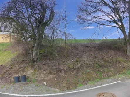 Baugrundstück - Grundstück kaufen in Rutsweiler - Großer Bauplatz in schöner Lage