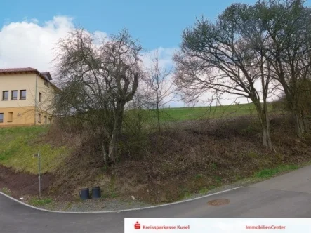 Baugrundstück - Grundstück kaufen in Rutsweiler - Großer Bauplatz in schöner Lage