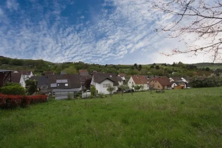 Baugrundstück - Grundstück kaufen in Rammelsbach - Verwirklichen Sie Ihren Wohntraum