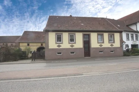 Straßenansicht - Haus kaufen in Konken - Außergewöhnliches Liebhaberobjekt