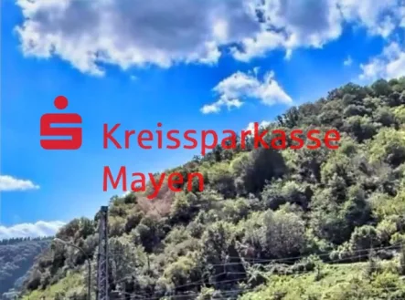 Außenbild - Grundstück kaufen in Treis-Karden - Exklusives Wohnbaugrundstück mit Moselblick: Ihr Traumhaus in Treis-Karden