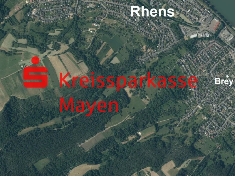  - Grundstück kaufen in Rhens - Waldfläche in Rens – Natur pur in attraktiver Lage nahe Koblenz 