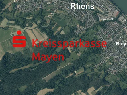  - Grundstück kaufen in Rhens - Waldfläche in Rhens – Natur pur in attraktiver Lage nahe Koblenz 