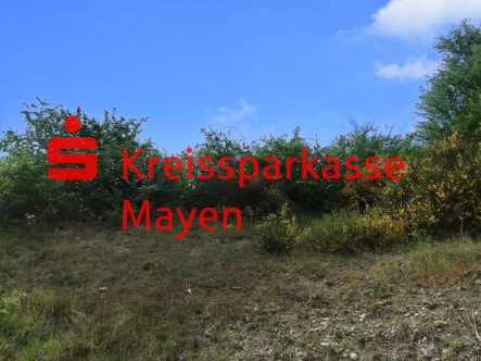 Grdst - Grundstück kaufen in Mayen - Schönes vollerschlossenes Baugrundstück in Mayen, Am Heckenberg