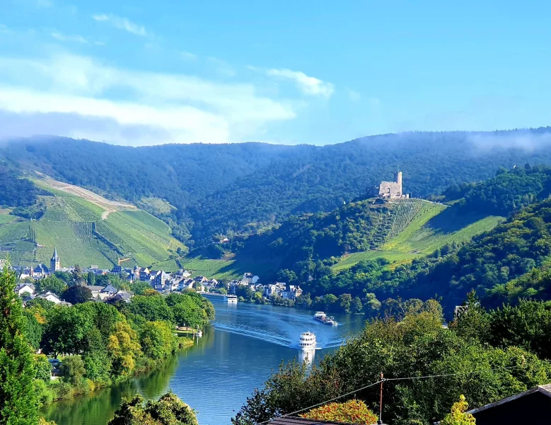 Burg- u.Moselblick