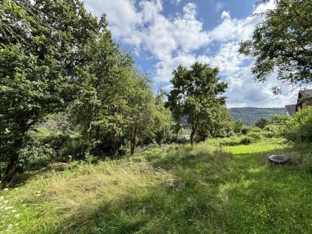 Grundstück - Grundstück kaufen in Traben-Trarbach - Baugrundstück in idyllischer Ortslage