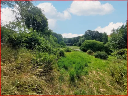 Grundstück - Grundstück kaufen in Krautheim - Sonnenverwöhnt und naturverbunden: Ihr Traumgrundstück am ruhigen Ortsrand!