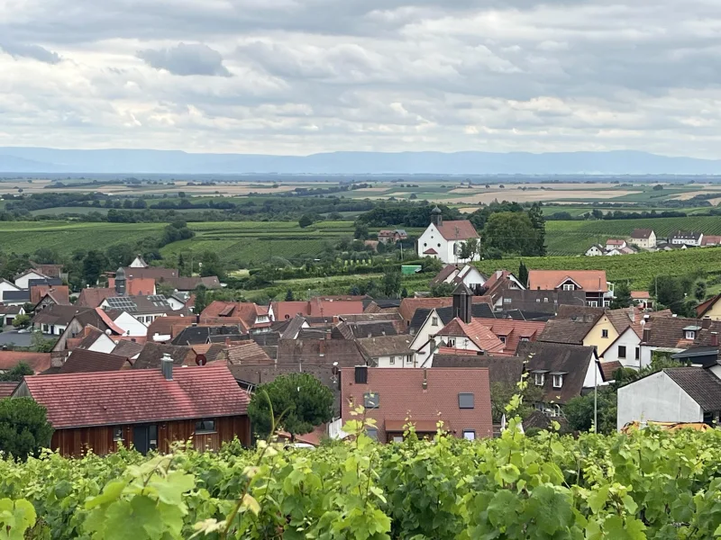 Blick über Gleiszellen