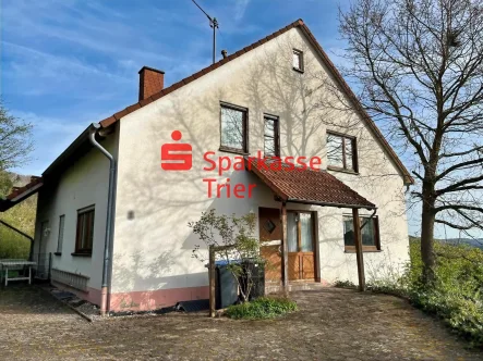 Vorderansicht - Haus kaufen in Newel - Großzügiges und freistehendes Einfamilienhaus in Butzweiler