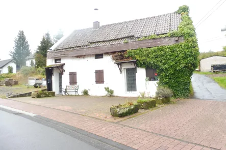 Vorderansicht - Haus kaufen in Daun - Kleines Einfamilienhaus, ideal als Ferienhaus nutzbar, in Waldkönigen 