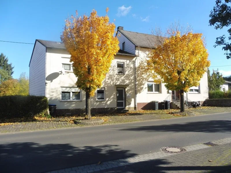 Straßenansicht - Haus kaufen in Walsdorf - Doppelhaus mit 3 vermieteten Wohneinheiten in Walsdorf