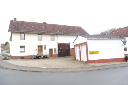 Straßenansicht - Haus kaufen in Lissendorf - Wohnhaus mit großem Nebengebäude und Doppelgarage in Lissendorf