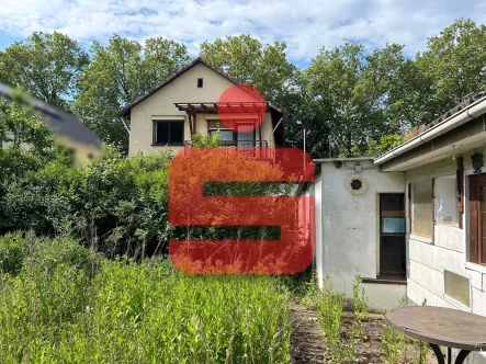 Gartenansicht - Haus kaufen in Mainz - Projektiertes Grundstück mit Abrissobjekt in ruhiger Lage von MZ-Weisenau