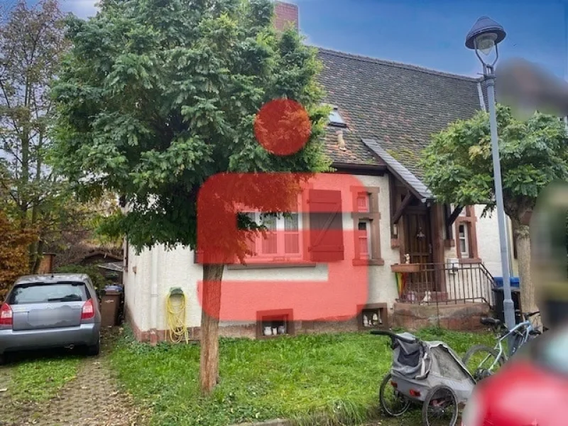 Strassenansicht - Haus kaufen in Worms - Wohnen im beliebten Wormser Stadtteil!