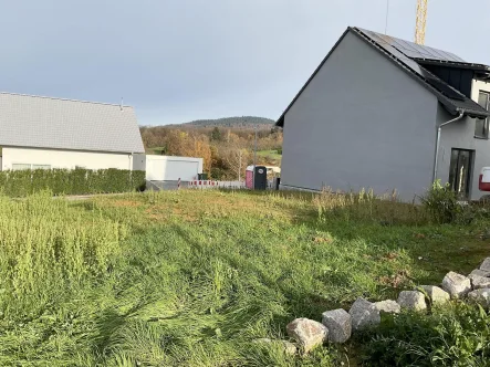 Ansicht Grundstück - Grundstück kaufen in Gaggenau - Grundstück in Toplage 