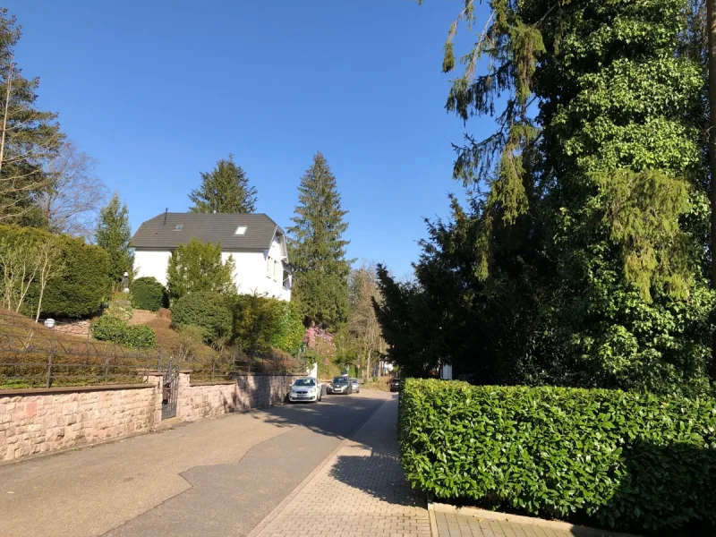 Straßenansicht - Grundstück kaufen in Baden-Baden - Einmaliges Grundstück oberhalb der Lichtentaler Allee