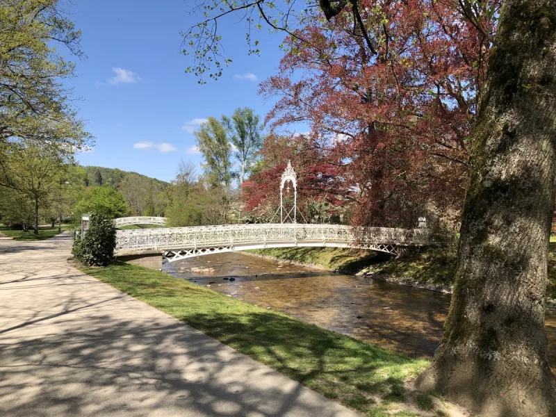 Weg über Allee zum Grundstück